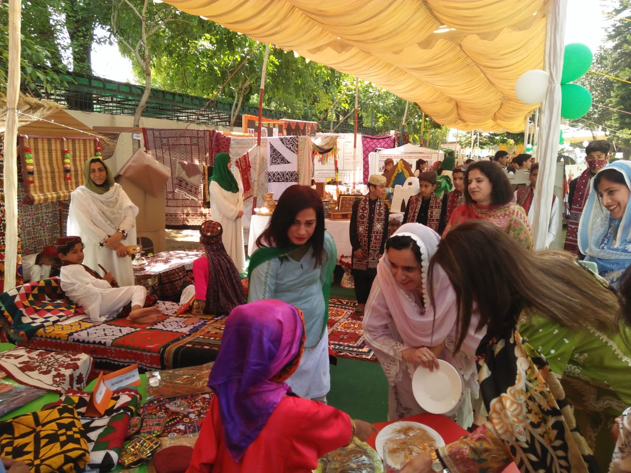 Science, Arts and Cultural Expo 2022